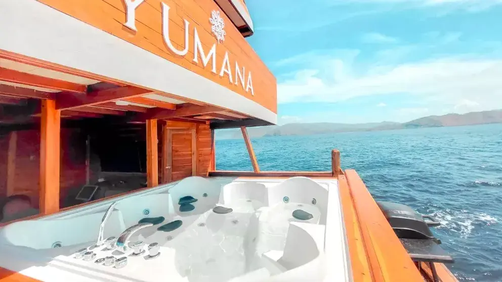 Komodo Tour, Komodo Island tour, Komodo Boat Tour, Komodo island boat tour, Komodo Island Trip, Tour to Komodo