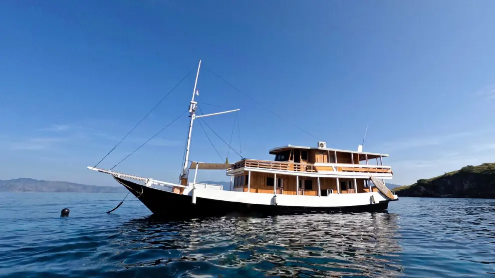 Komodo Tour, Komodo Island tour, Komodo Boat Tour, Komodo island boat tour, Komodo Island Trip, Tour to Komodo