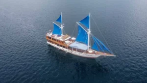 komodo tour 2 days 1 night