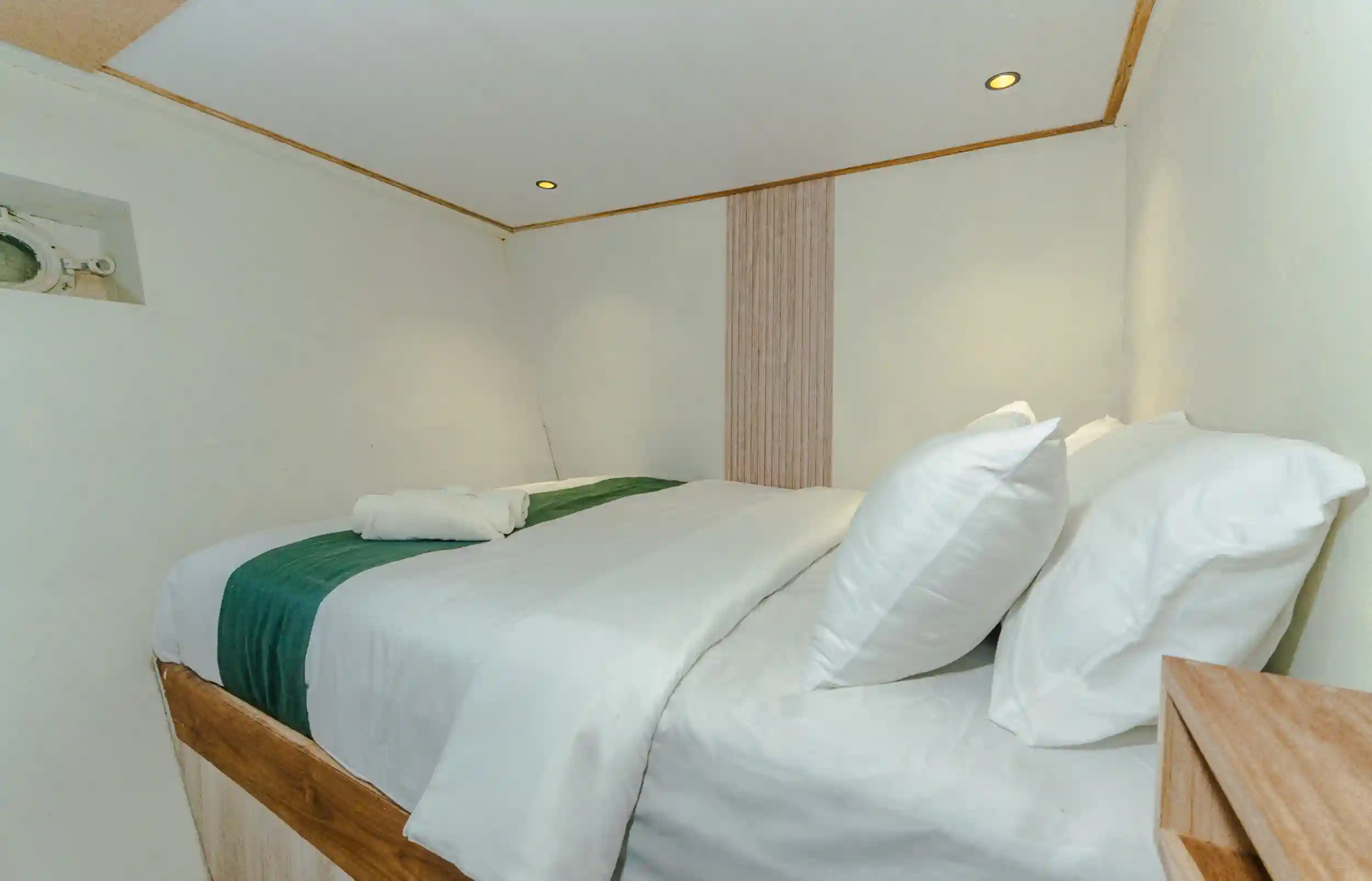 Komodo Tour, Komodo Island tour, Komodo Boat Tour, Komodo island boat tour, Komodo Island Trip, Tour to Komodo