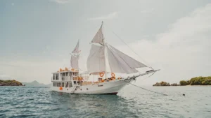 Komodo Tour, Komodo Island tour, Komodo Boat Tour, Komodo island boat tour, Komodo Island Trip, Tour to Komodo