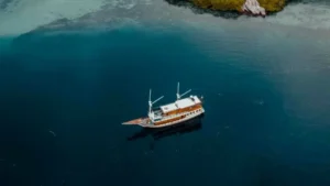 Komodo Tour, Komodo Island tour, Komodo Boat Tour, Komodo island boat tour, Komodo Island Trip, Tour to Komodo