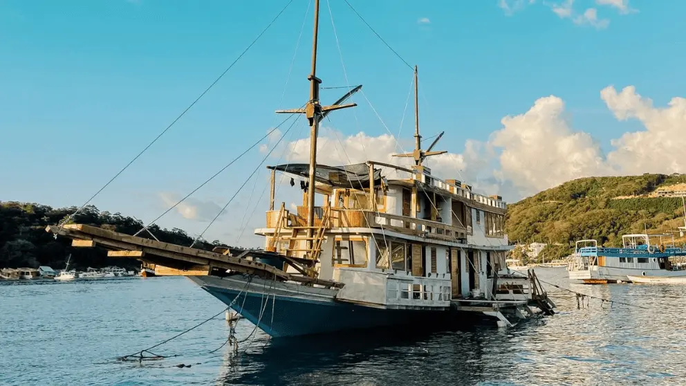 Komodo Tour, Komodo Island tour, Komodo Boat Tour, Komodo island boat tour, Komodo Island Trip, Tour to Komodo