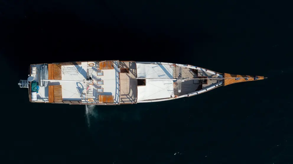 Komodo Tour, Komodo Island tour, Komodo Boat Tour, Komodo island boat tour, Komodo Island Trip, Tour to Komodo