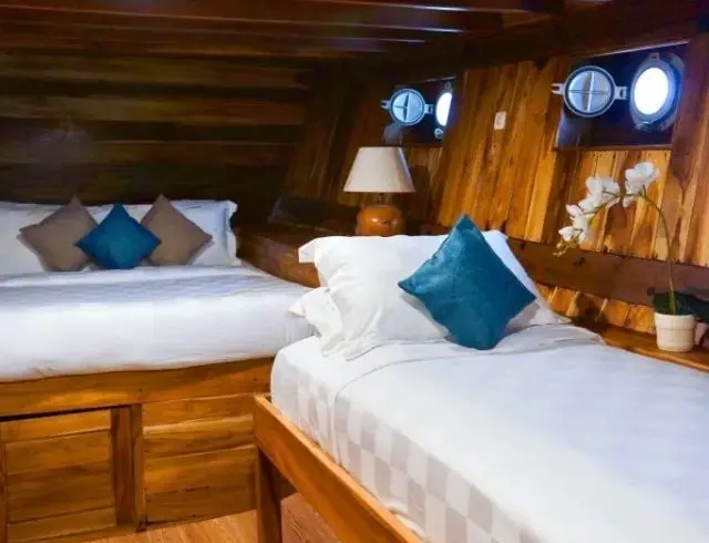 Komodo Tour, Komodo Island tour, Komodo Boat Tour, Komodo island boat tour, Komodo Island Trip, Tour to Komodo