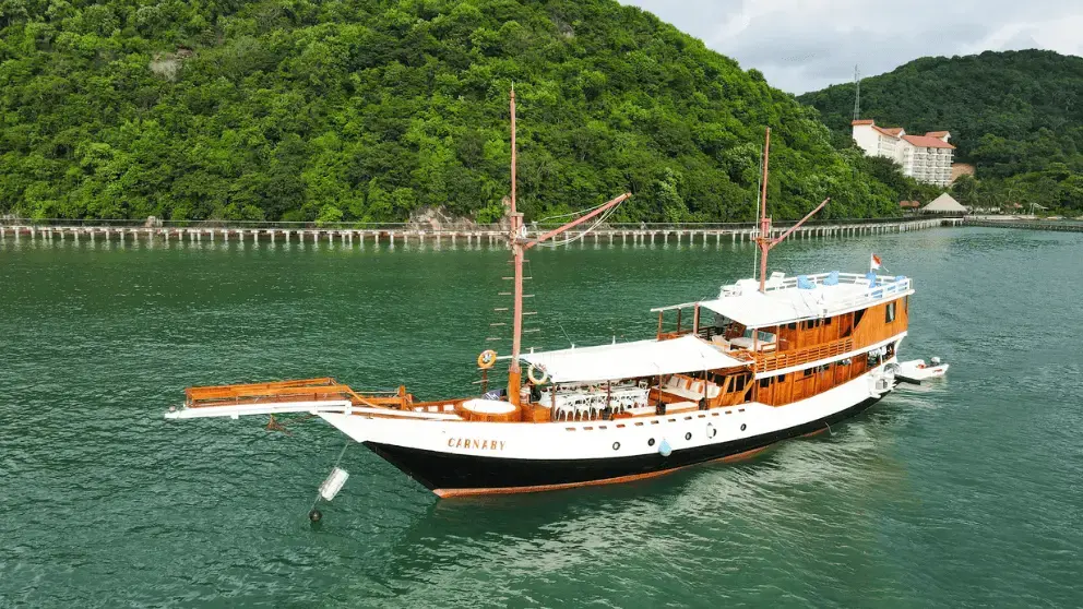 Komodo Tour, Komodo Island tour, Komodo Boat Tour, Komodo island boat tour, Komodo Island Trip, Tour to Komodo