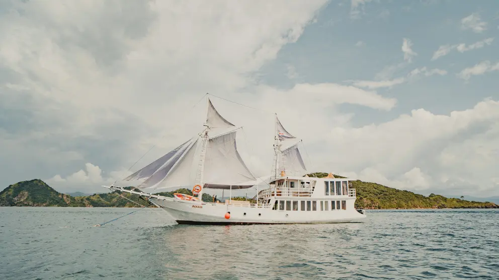 Komodo Tour, Komodo Island tour, Komodo Boat Tour, Komodo island boat tour, Komodo Island Trip, Tour to Komodo