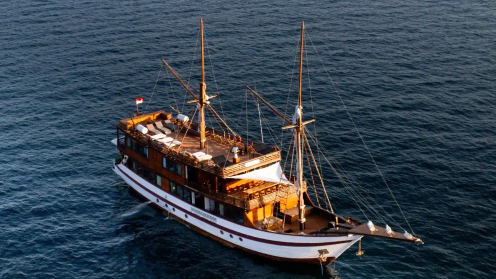 Komodo Tour, Komodo Island tour, Komodo Boat Tour, Komodo island boat tour, Komodo Island Trip, Tour to Komodo