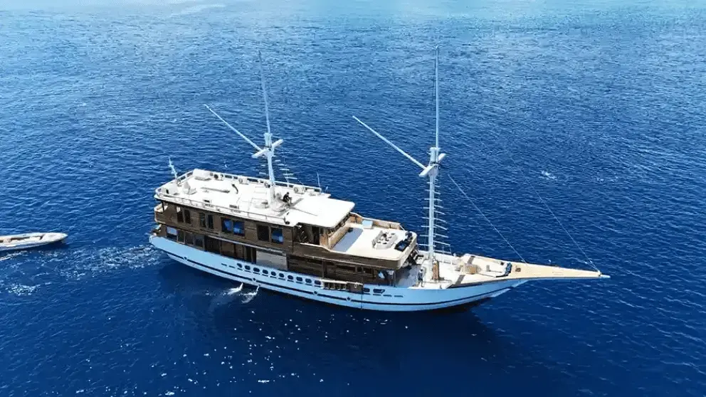 Komodo Tour, Komodo Island tour, Komodo Boat Tour, Komodo island boat tour, Komodo Island Trip, Tour to Komodo