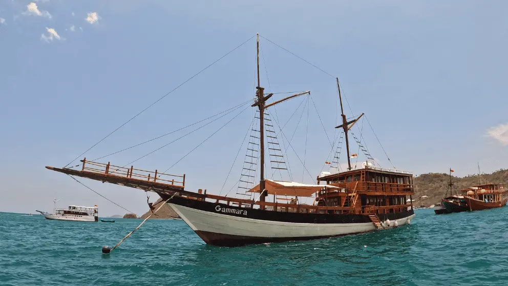 Komodo Tour, Komodo Island tour, Komodo Boat Tour, Komodo island boat tour, Komodo Island Trip, Tour to Komodo