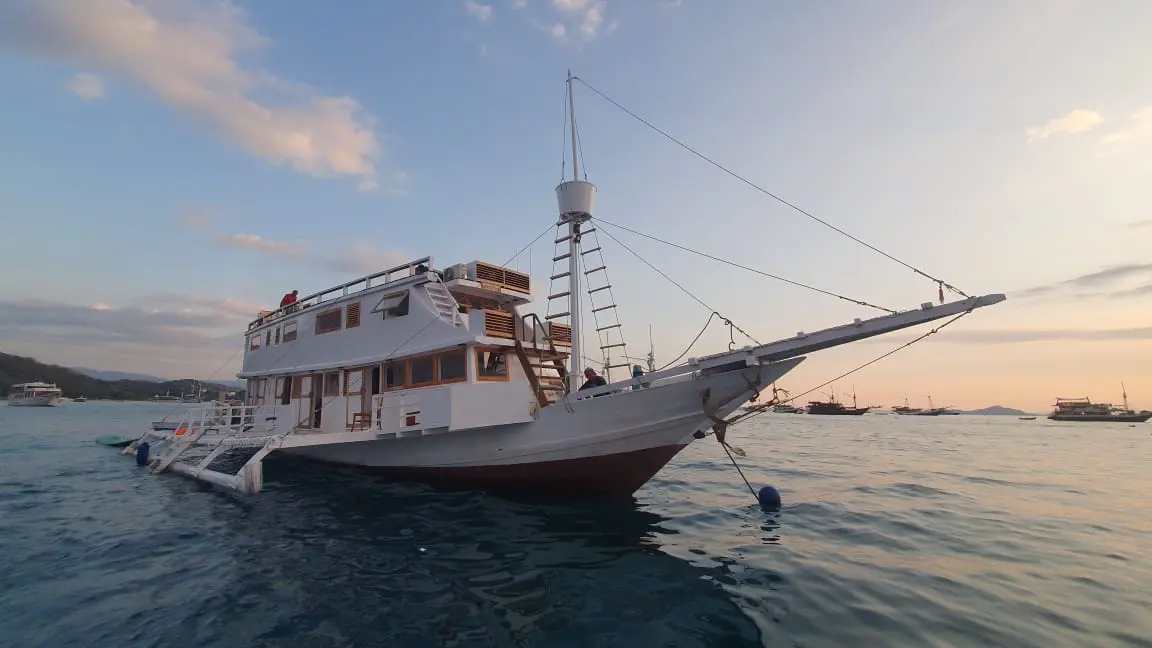 Komodo Tour, Komodo Island tour, Komodo Boat Tour, Komodo island boat tour, Komodo Island Trip, Tour to Komodo