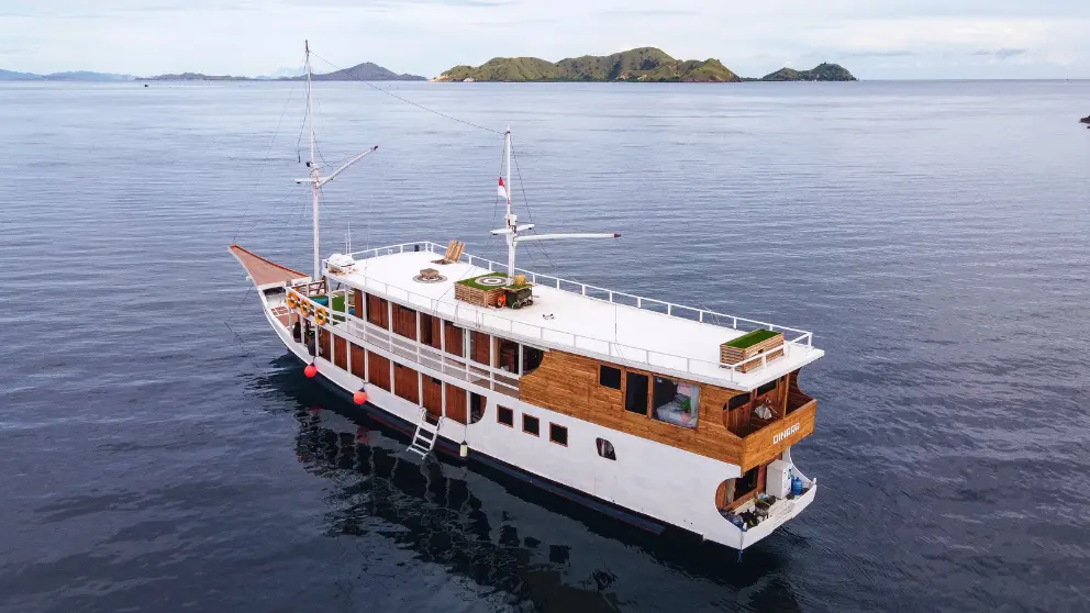 Komodo Tour, Komodo Island tour, Komodo Boat Tour, Komodo island boat tour, Komodo Island Trip, Tour to Komodo