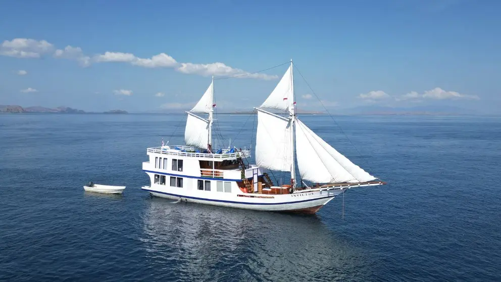 Komodo Tour, Komodo Island tour, Komodo Boat Tour, Komodo island boat tour, Komodo Island Trip, Tour to Komodo