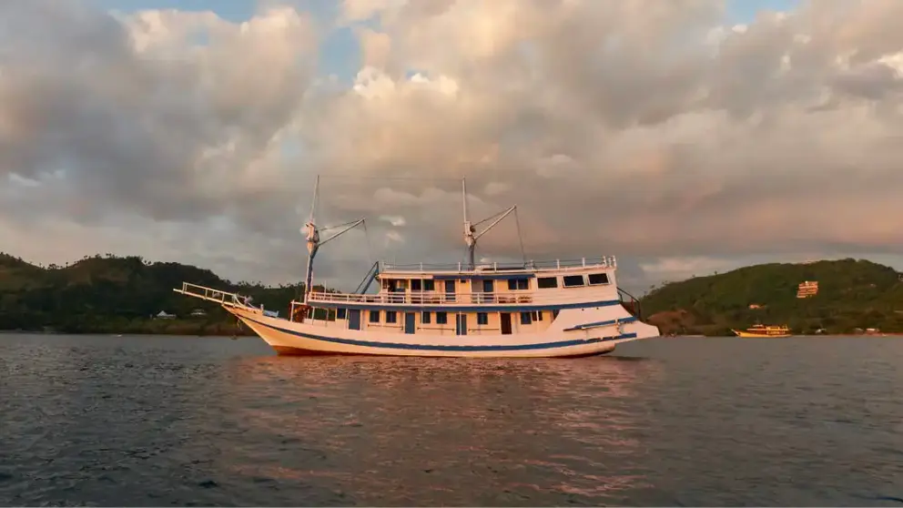 Komodo Tour, Komodo Island tour, Komodo Boat Tour, Komodo island boat tour, Komodo Island Trip, Tour to Komodo