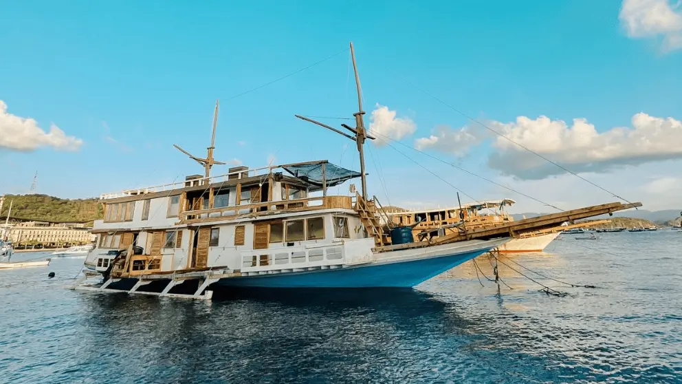 Komodo Tour, Komodo Island tour, Komodo Boat Tour, Komodo island boat tour, Komodo Island Trip, Tour to Komodo