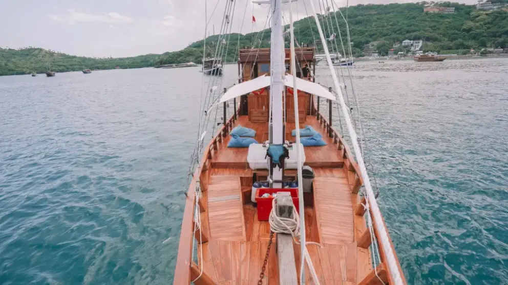 Komodo Tour, Komodo Island tour, Komodo Boat Tour, Komodo island boat tour, Komodo Island Trip, Tour to Komodo