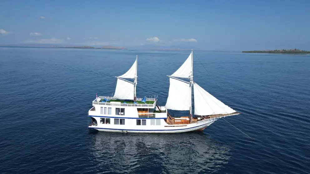 Komodo Tour, Komodo Island tour, Komodo Boat Tour, Komodo island boat tour, Komodo Island Trip, Tour to Komodo