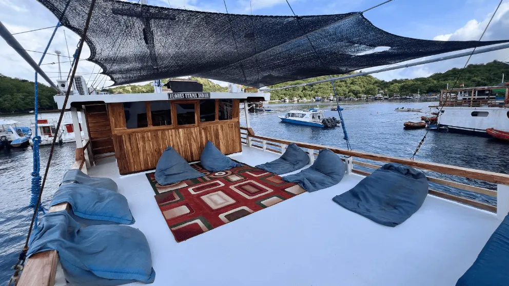 Komodo Tour, Komodo Island tour, Komodo Boat Tour, Komodo island boat tour, Komodo Island Trip, Tour to Komodo