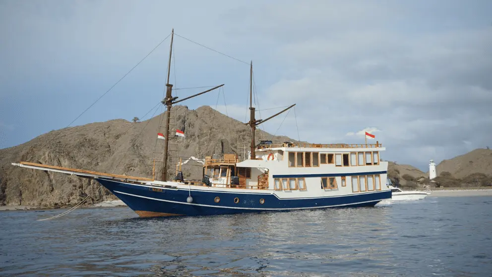 Komodo Tour, Komodo Island tour, Komodo Boat Tour, Komodo island boat tour, Komodo Island Trip, Tour to Komodo