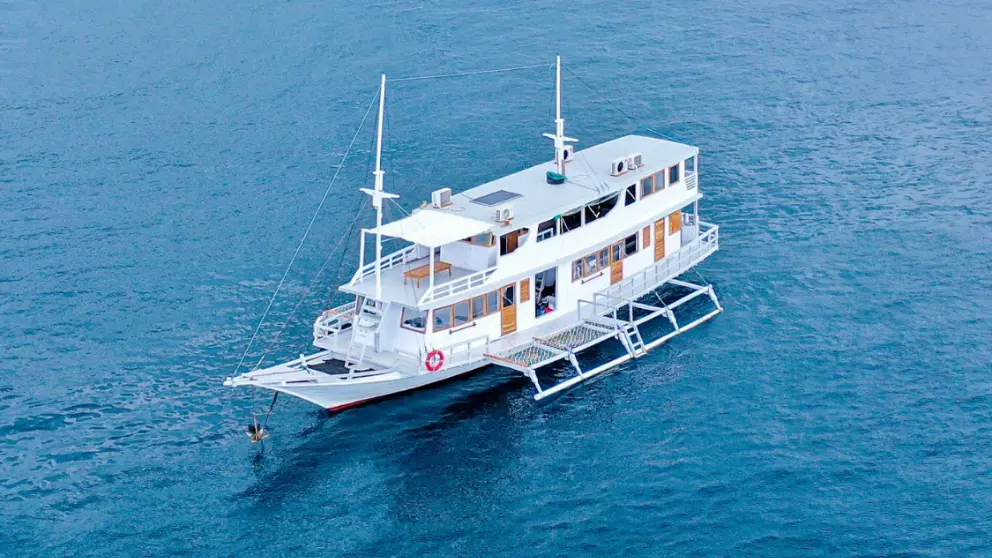 Komodo Tour, Komodo Island tour, Komodo Boat Tour, Komodo island boat tour, Komodo Island Trip, Tour to Komodo