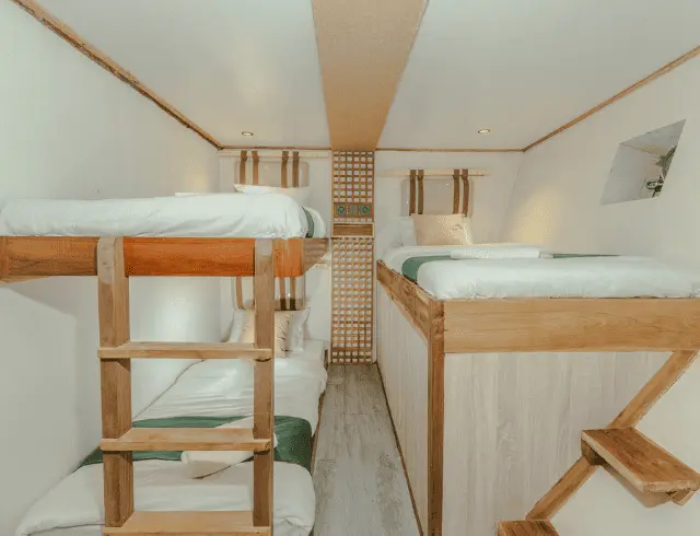 Komodo Tour, Komodo Island tour, Komodo Boat Tour, Komodo island boat tour, Komodo Island Trip, Tour to Komodo