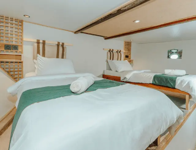 Komodo Tour, Komodo Island tour, Komodo Boat Tour, Komodo island boat tour, Komodo Island Trip, Tour to Komodo