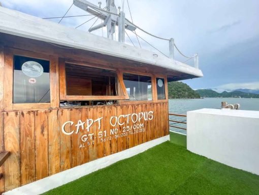 Komodo Tour, Komodo Island tour, Komodo Boat Tour, Komodo island boat tour, Komodo Island Trip, Tour to Komodo