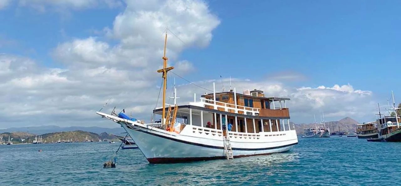 Komodo Tour, Komodo Island tour, Komodo Boat Tour, Komodo island boat tour, Komodo Island Trip, Tour to Komodo