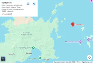 Manta-point-komodo-island
