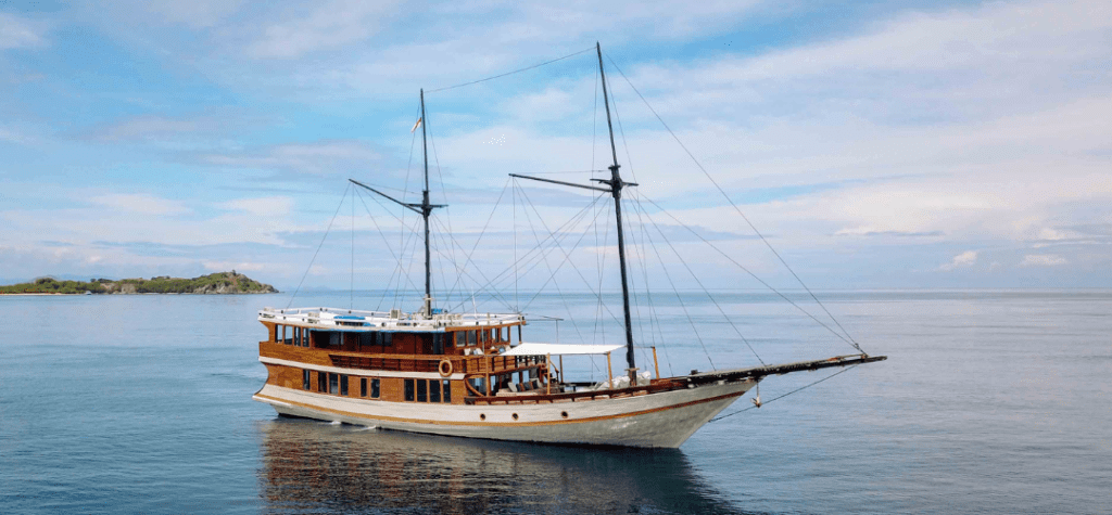 Komodo Tour, Komodo Island tour, Komodo Boat Tour, Komodo island boat tour, Komodo Island Trip, Tour to Komodo