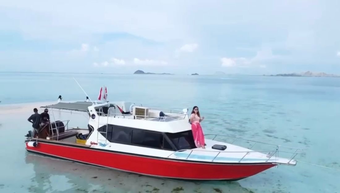 One Day Komodo Trip by Speedboat