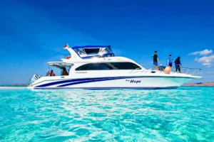 one day komodo tour by speed boat