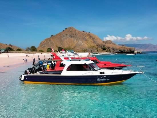 Komodo Tour, Komodo Island tour, Komodo Boat Tour, Komodo island boat tour, Komodo Island Trip, Tour to Komodo