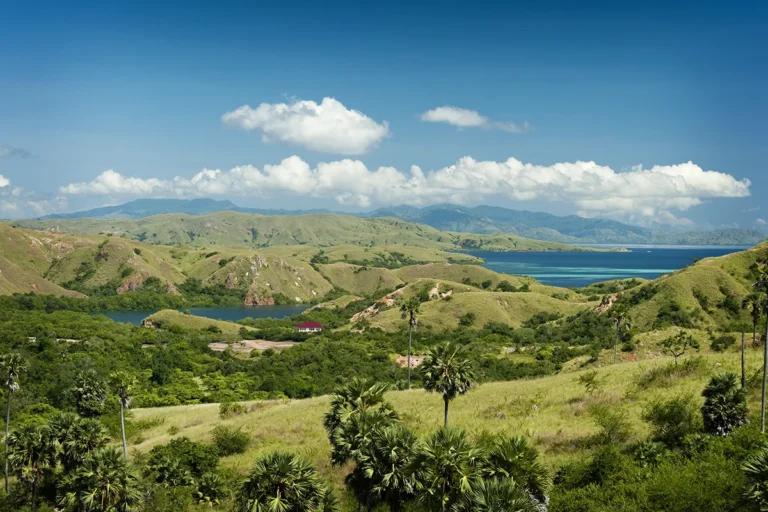 rinca-island-komodo-tour.id