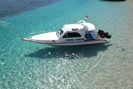 Komodo Tour, Komodo Island tour, Komodo Boat Tour, Komodo island boat tour, Komodo Island Trip, Tour to Komodo, One Day Komodo Tour