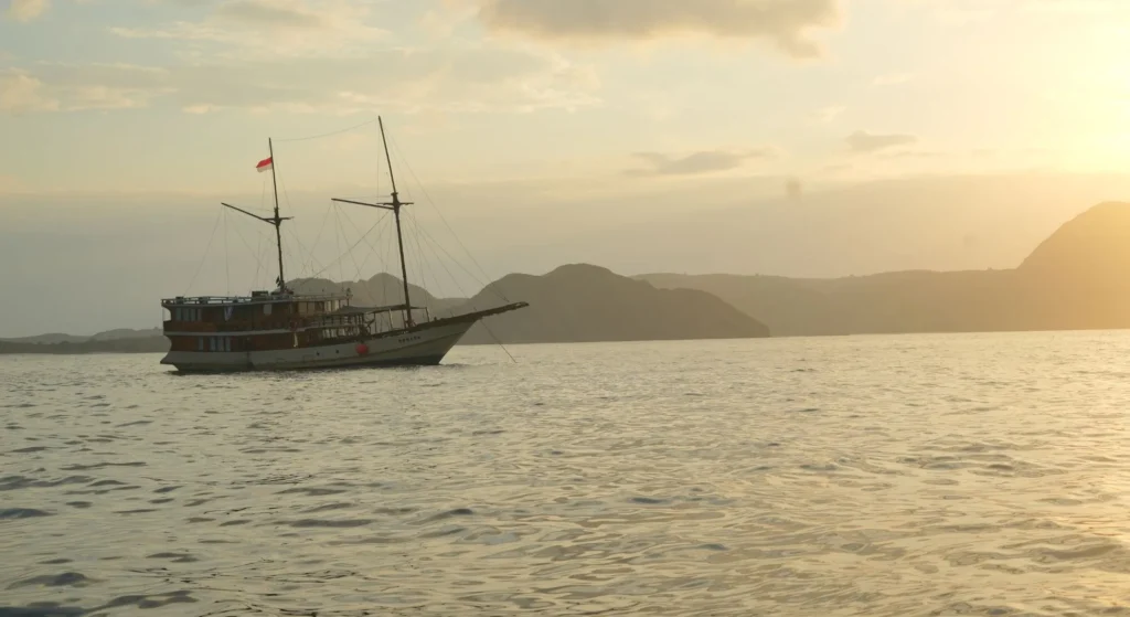 What to Really Expect on a Komodo Tour