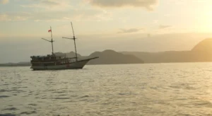 What to Really Expect on a Komodo Tour