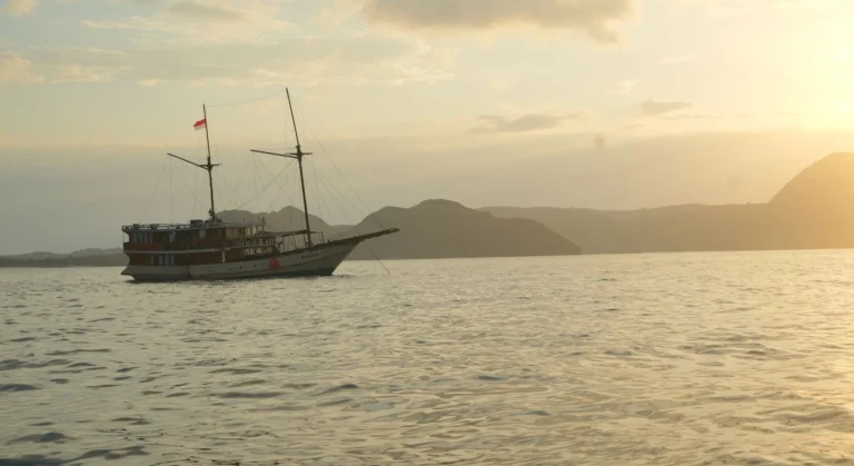 What to Really Expect on a Komodo Tour