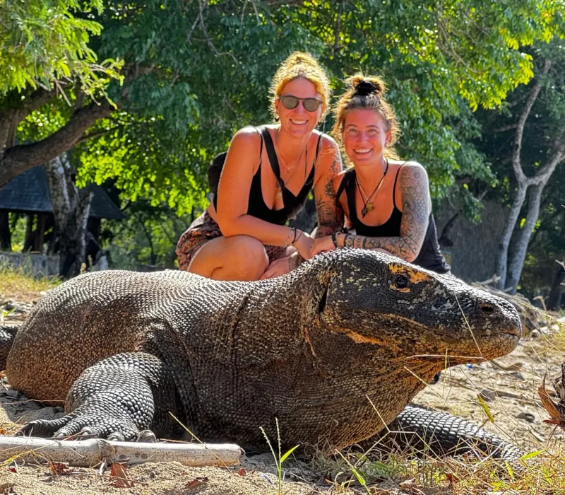 komodo-tour-guide-2026-komodo-tour-indonesia